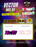 VECTOR MIS XV